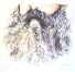 Monet's Beard, Age 59